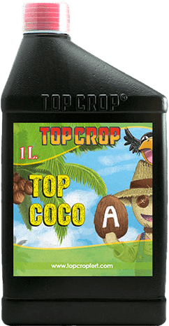 Top Crop Top Coco a 1lt