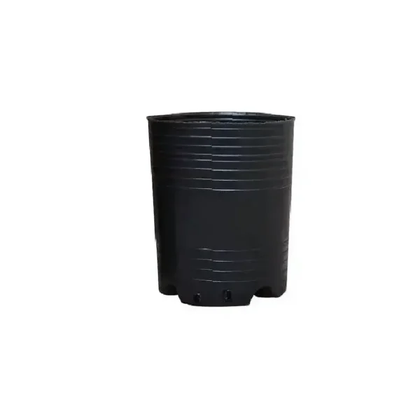 Maceta Soplada 1 Lt