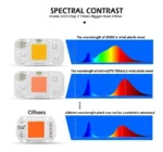 Chip Led Cob 50w Yxo C/bornera