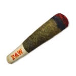 Paw Juguete Xxl