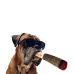 Paw Juguete Xxl