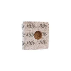 juffy 5×5 2